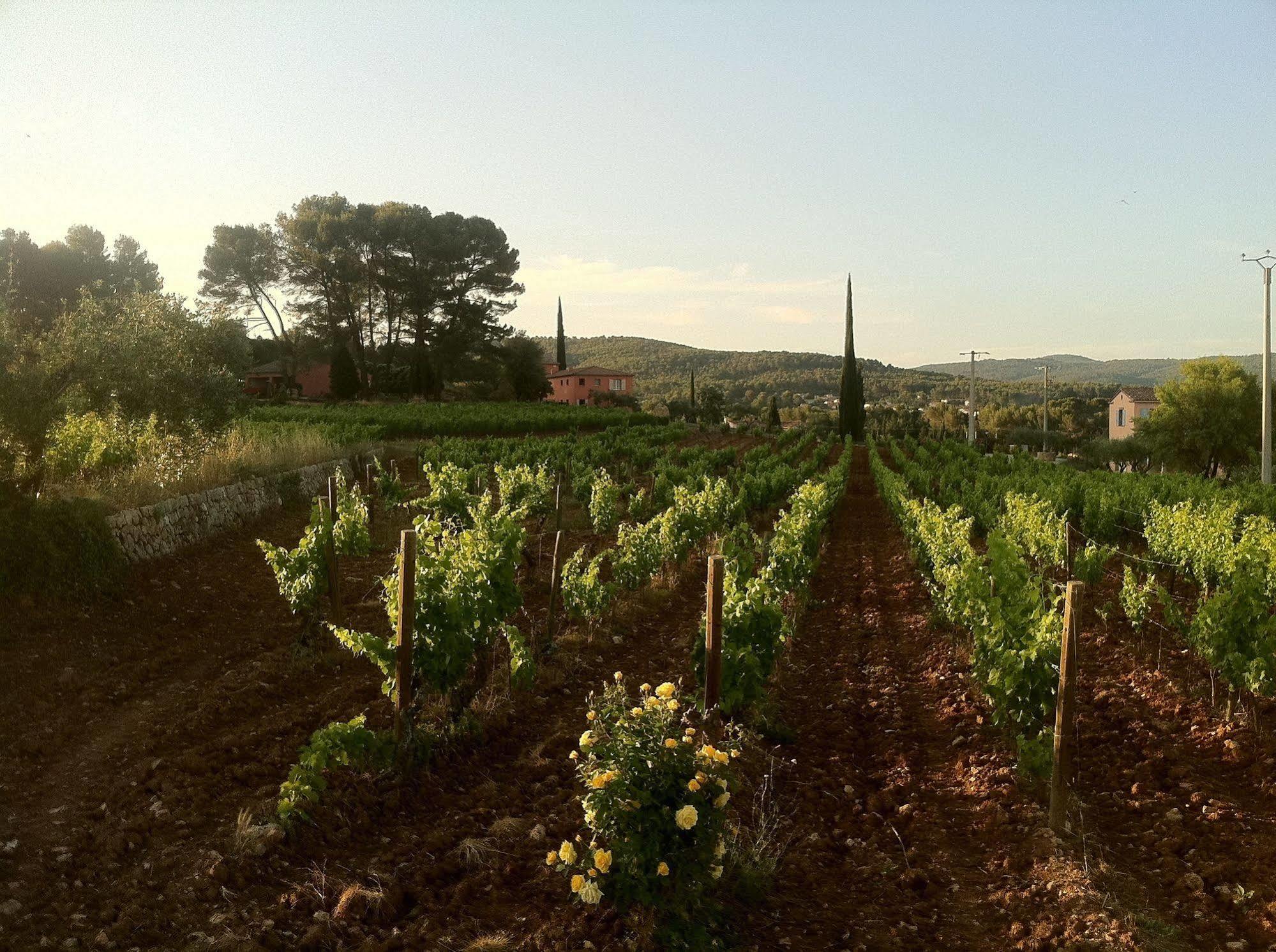 Domaine Rabiega Flayosc Ngoại thất bức ảnh