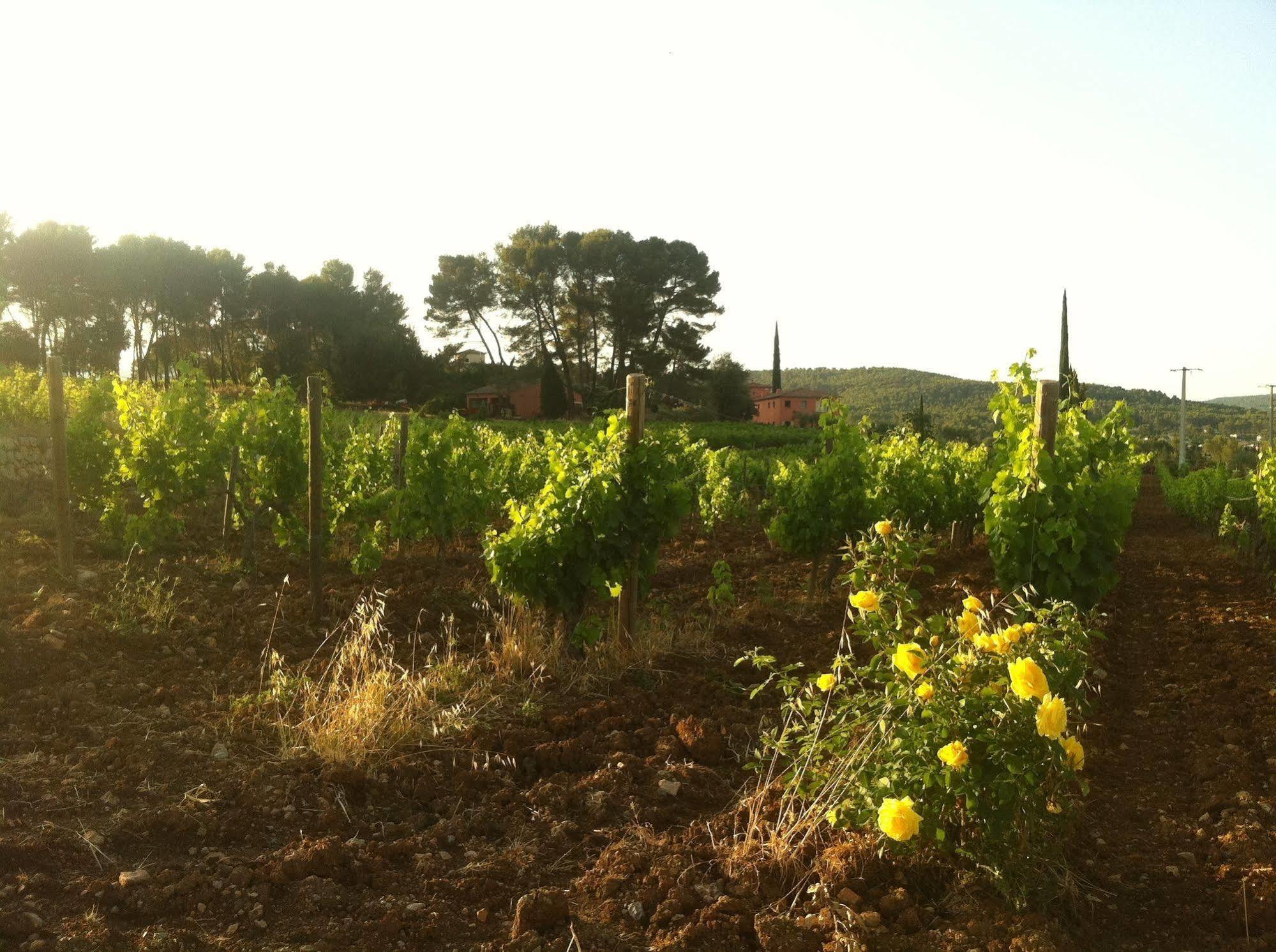 Domaine Rabiega Flayosc Ngoại thất bức ảnh